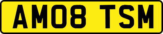 AM08TSM