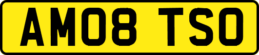 AM08TSO