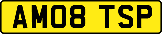 AM08TSP