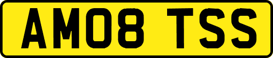 AM08TSS