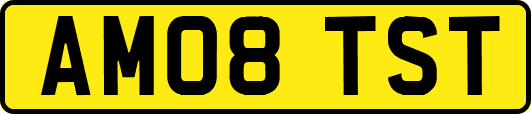 AM08TST