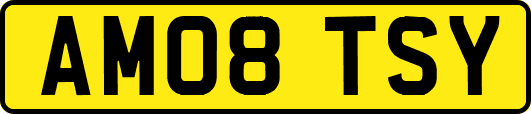 AM08TSY