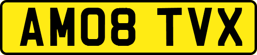 AM08TVX