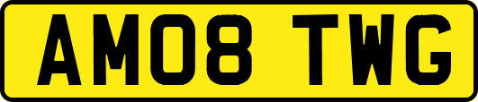 AM08TWG