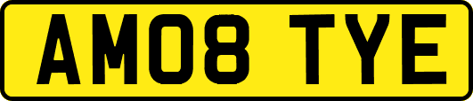 AM08TYE