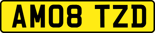 AM08TZD