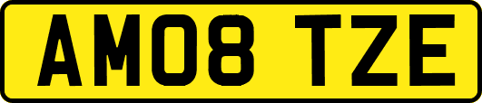 AM08TZE