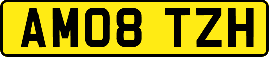 AM08TZH