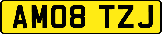 AM08TZJ