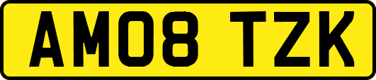 AM08TZK