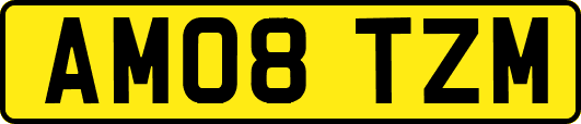 AM08TZM