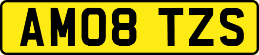 AM08TZS