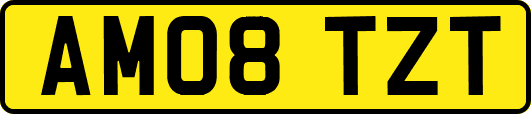 AM08TZT
