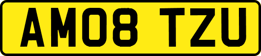 AM08TZU