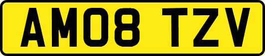 AM08TZV