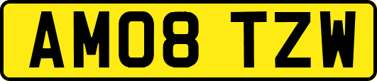 AM08TZW