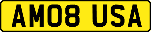 AM08USA