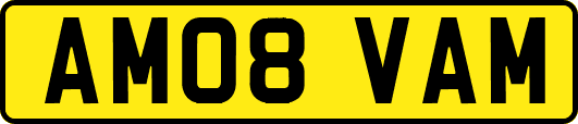 AM08VAM