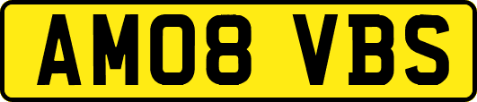 AM08VBS