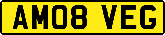 AM08VEG