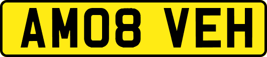 AM08VEH