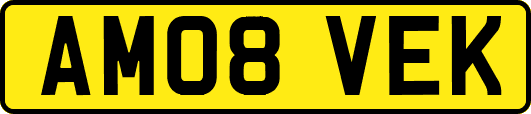 AM08VEK