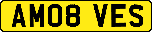 AM08VES