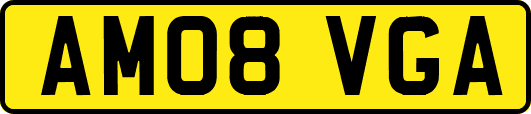 AM08VGA