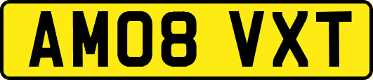 AM08VXT