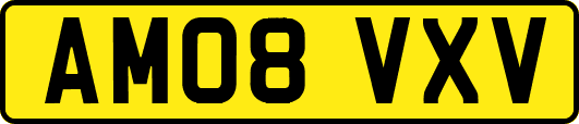 AM08VXV