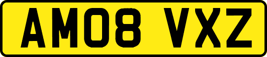 AM08VXZ
