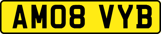 AM08VYB