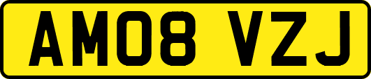 AM08VZJ
