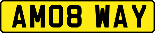 AM08WAY