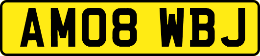 AM08WBJ