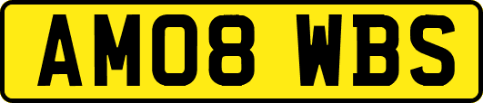 AM08WBS