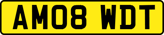 AM08WDT