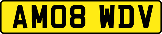 AM08WDV