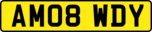 AM08WDY