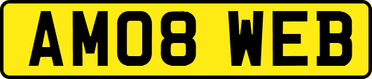 AM08WEB