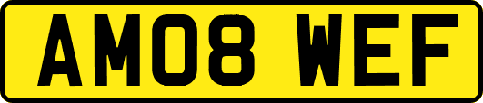 AM08WEF