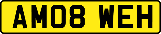 AM08WEH