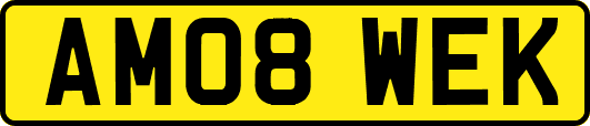 AM08WEK