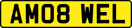 AM08WEL