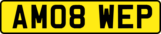 AM08WEP
