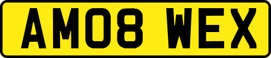 AM08WEX