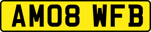 AM08WFB