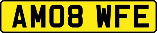 AM08WFE