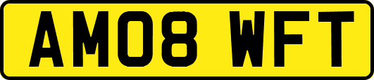 AM08WFT