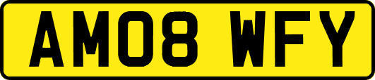 AM08WFY